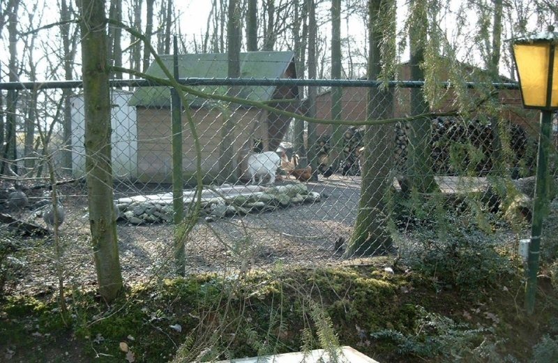 480495114 479823895202252 8120660044840860447 n