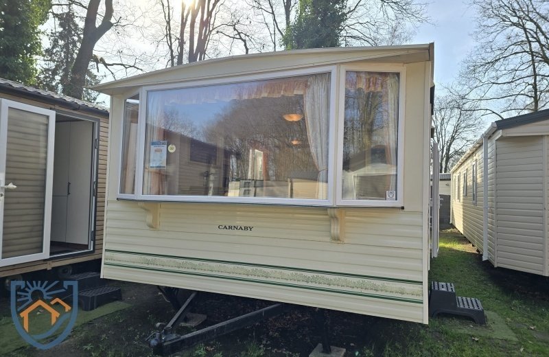 Carnaby Siesta Classic