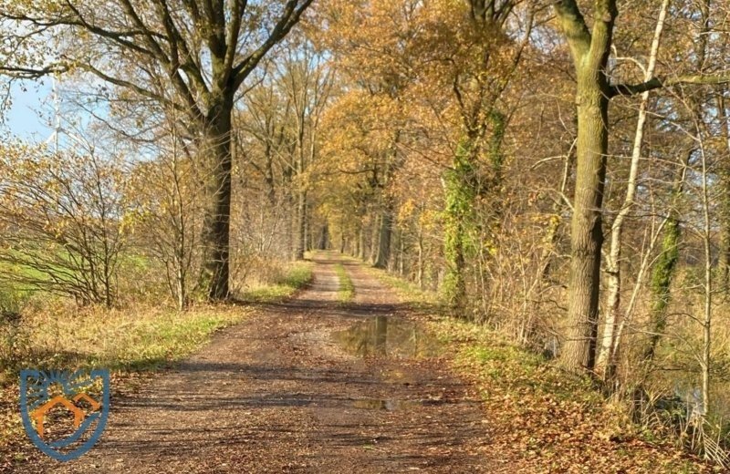 Natur und Entspannung: Ideal für Wanderer und Radfahrer auf dem Chaletpark De Waterval